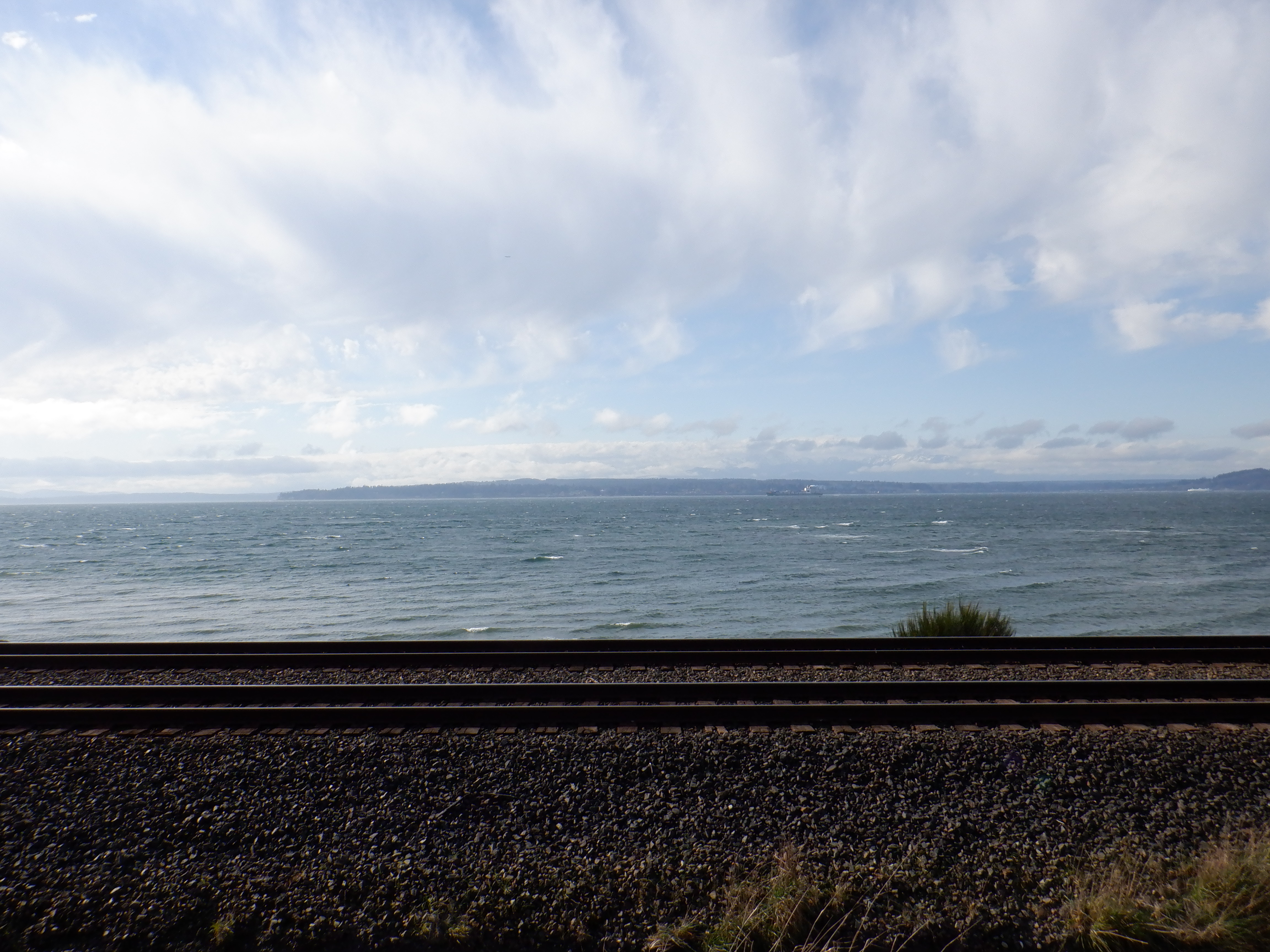 ./2020/03 - Seattle/AD_CF0917.JPG